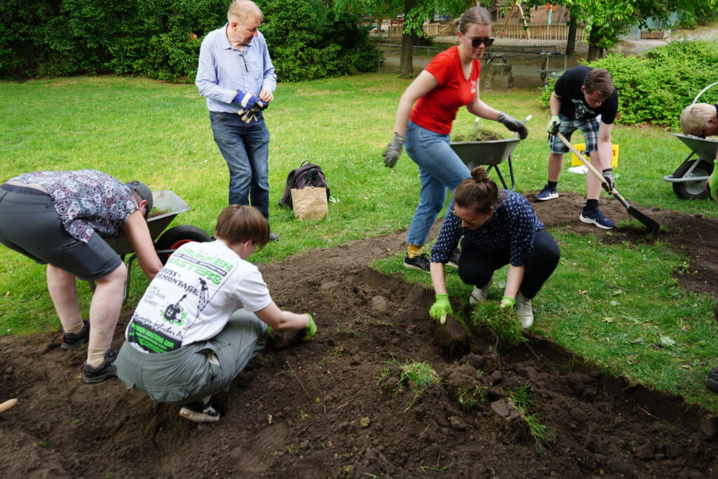 Bild von Grabung Blühwiese