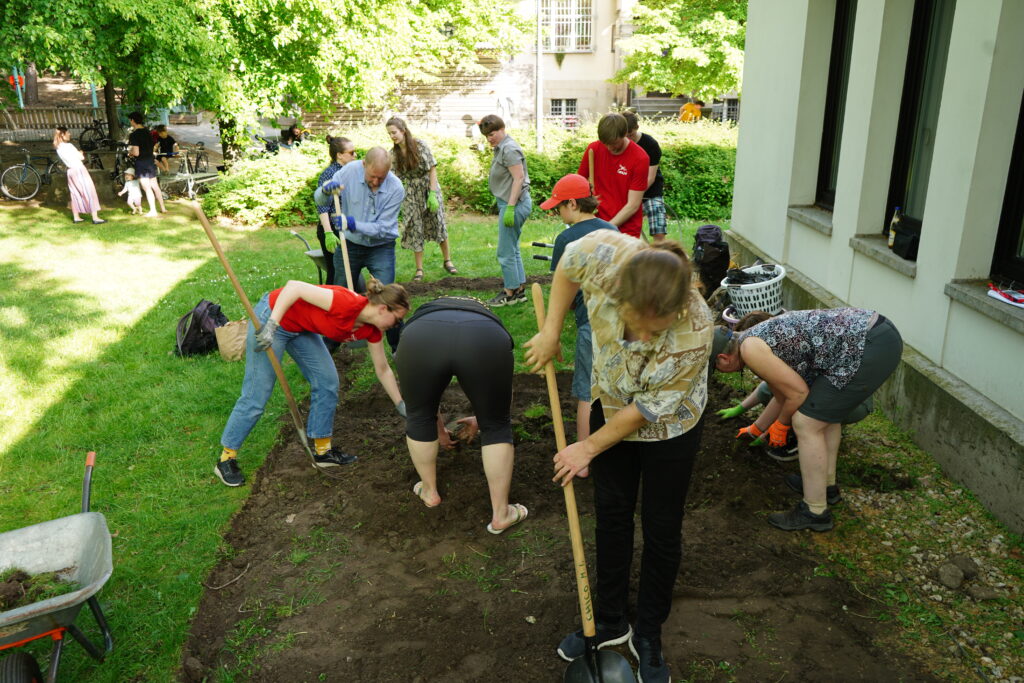 Bild von Grabung Blühwiese